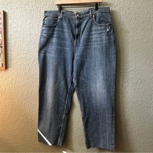 Everlane The Way High Jean in Organic Cotton